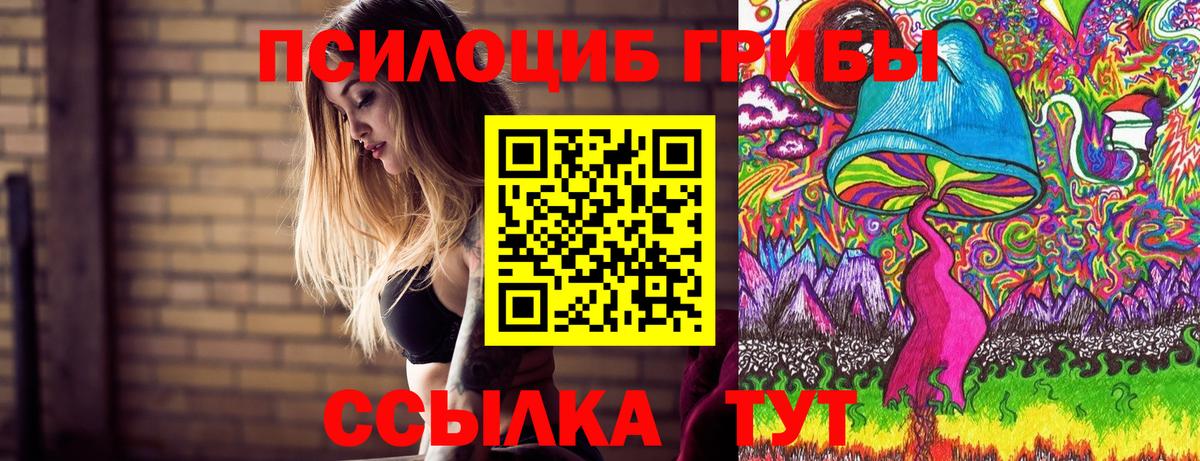 Псилоцибиновые грибы MAGIC MUSHROOMS  Вход с VPN  Алексеевка 